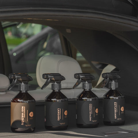 Greito veikimo vabzdžių valiklis 500ml