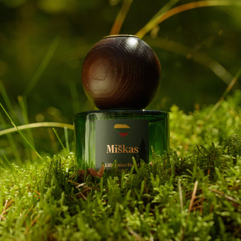 Namų kvapas su lazdelėmis „Miškas“, 120 ml